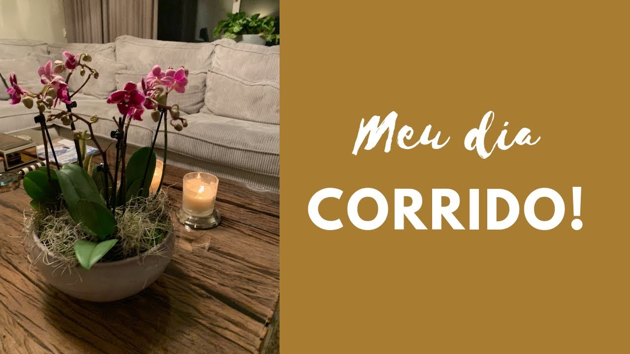 Meu dia corrido:  Casa arrumada depois das festas, viagem  Cristina Versluis