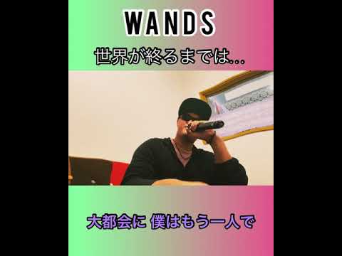 WANDS 世界が終るまでは…  歌ってみた♪ （slam dunk ed TV ver）