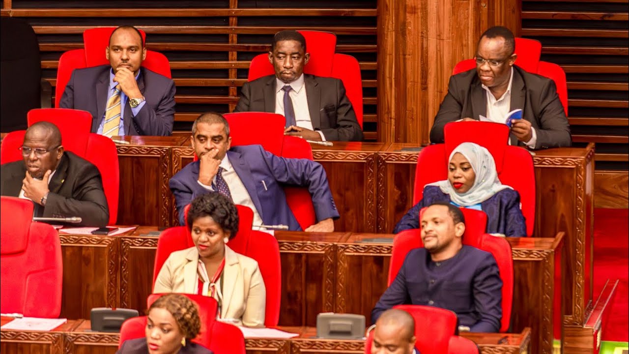 KAULI YA KWANZA MBUNGE JIMBO LA MONDULI BUNGENI 