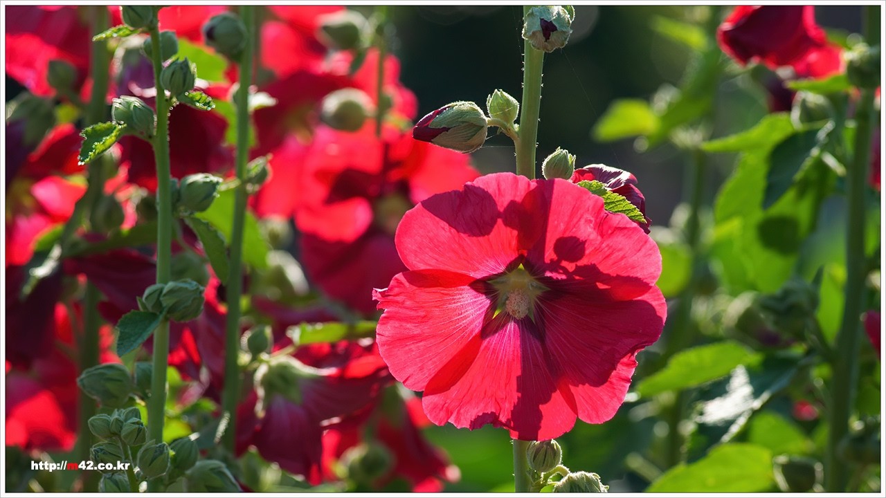 아홉 가지의 수고