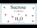 Sucrose Solubility and Properties