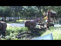Hermoso parque