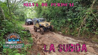 Selva en el Puriscal, Costa Rica  Junto a Trial 4x4 CR - Vuelta Al Mundo Off Road and Overland