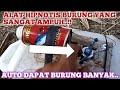 Semua Jenis Burung Akan Kena Hipnotis Dengan Bunyi Ini Alat Hipnotis Segala Macam Jenis Burung Mp3 - Mp4 Download
