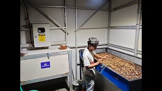 Hybrid Biomass- Solar Cell Nutmeg Dryer for farmer groups in Bogor