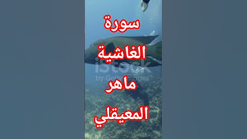 سورة الغاشية بصوت يهز الجبال #allah #اكسبلور #تيك_توك #ترند #قرآن #لايك #تلاوة_خاشعة