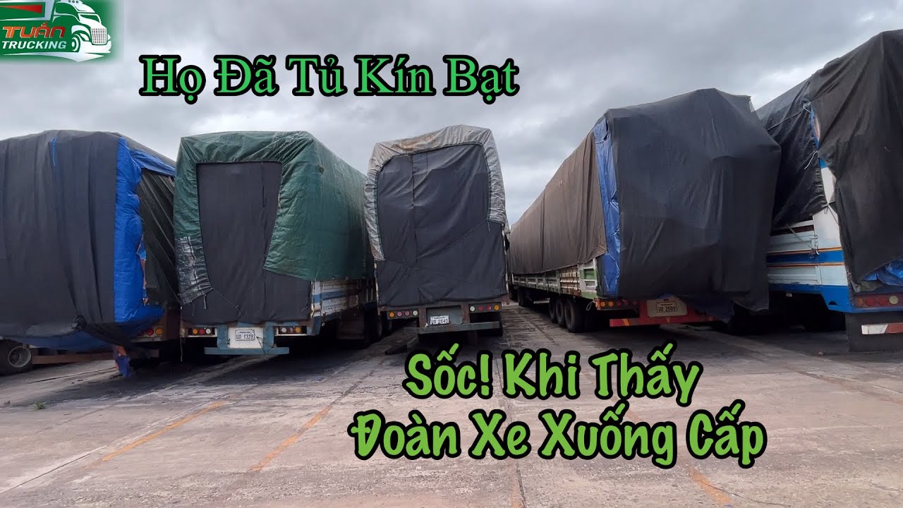 Nóng: “Thấy Gì Khi Bắt Gặp Xe Gỗ Này?”