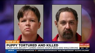 Couple arrested in torture, death of a weeks old puppy in Scottsdale