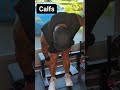 54th workout (Triceps)