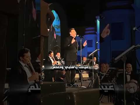 اتاري الحب كان ذنبي