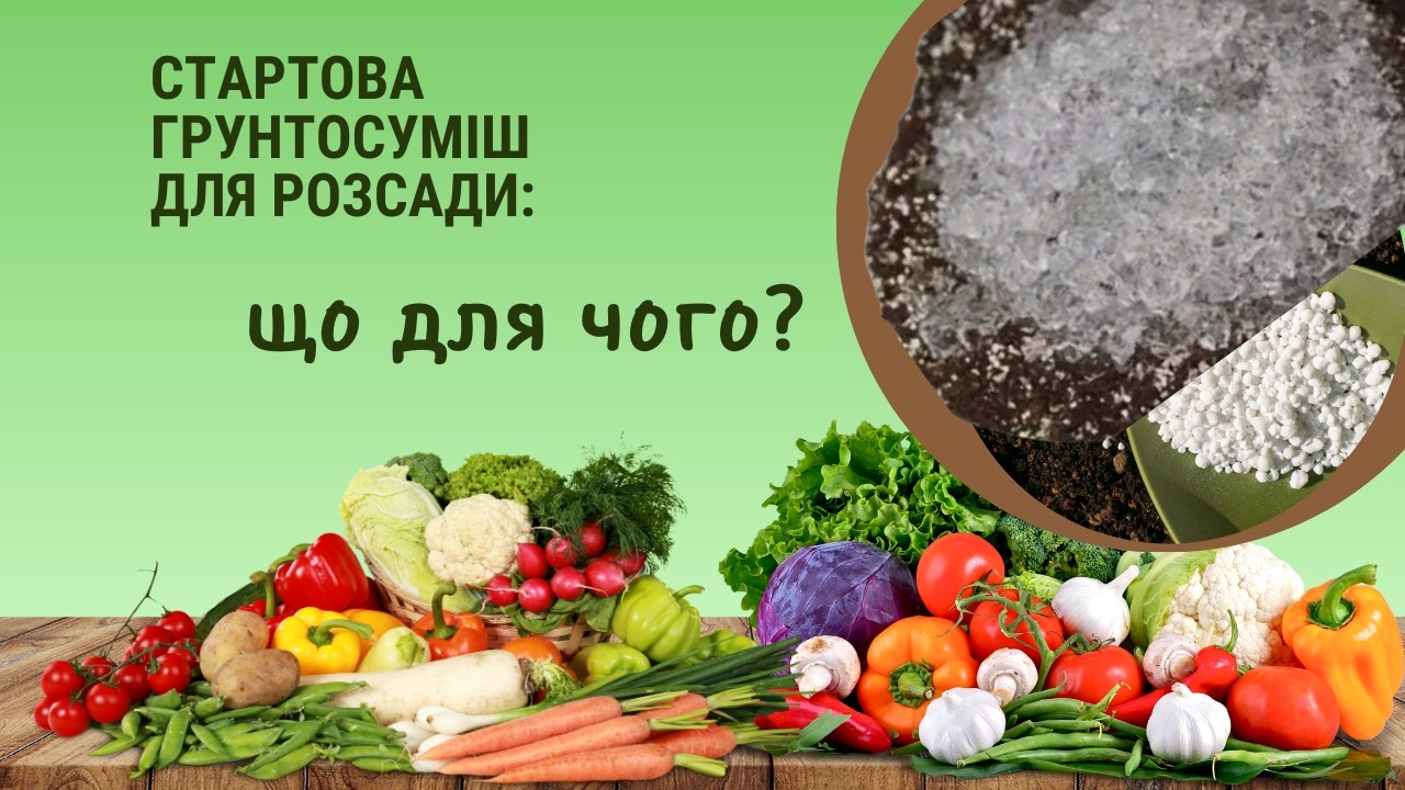 Гідрогель та інші компоненти грунтосуміші для розсади