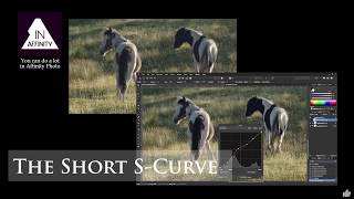 Curves: The Short S-Curve (using Affinity Photo)