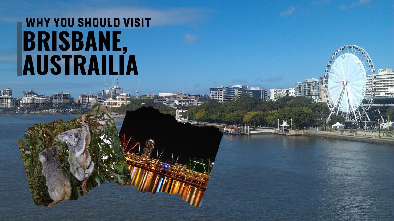 Why You MUST Visit Brisbane: The Ultimate Aussie Adventure! - YouTube
