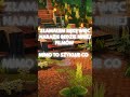 No i ręka do wymiany  #viral #minecraft #gaming #nicee #animation #xd #memes #funny #games