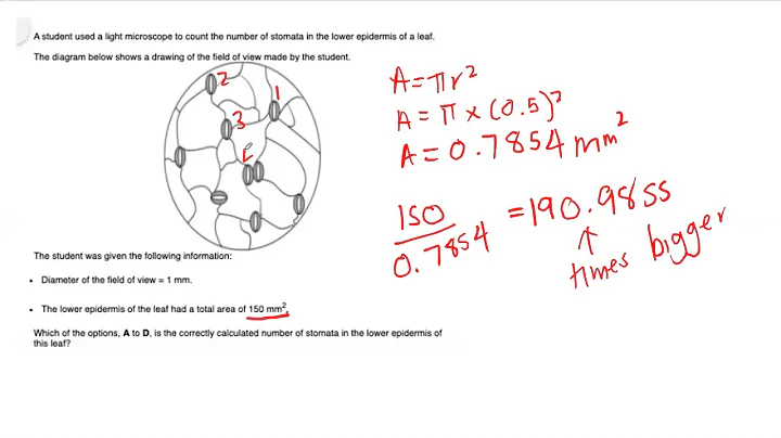 Stomatal density calculation