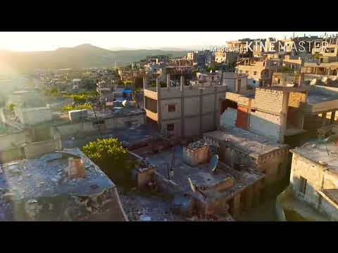 بين الجسر وساحة الوطن عالي جناحه الناجية نبض الساحل 