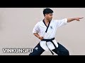 Tự học Taekwondo tại nhà #2 | Learn Taekwondo at home #2 | Vinkungfu