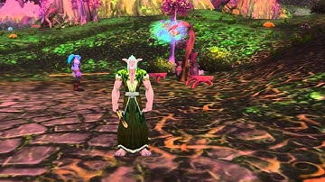 Why Did You Roll Druid - WoW Machinima