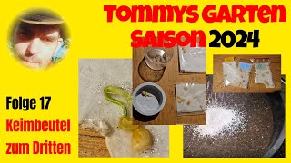 Tommys Garten 2024 - Folge 17 - Keimbeutel zum Dritten