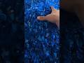 Color Sorting for Multi-color Bottle Caps | Save Labor & Improve Purity#shorts #plasticrecycling