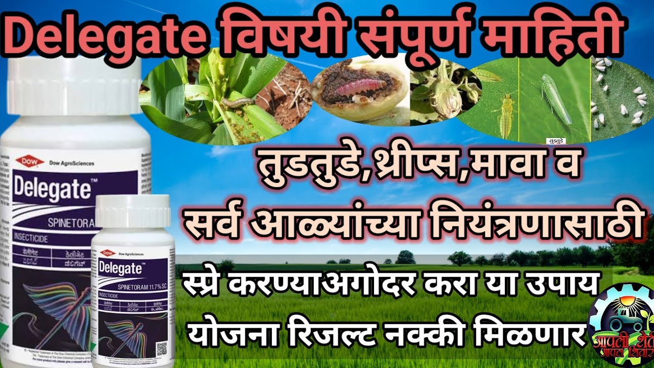 Delegate insecticide|Delegate कीटकनाशका विषयी संपूर्ण माहिती ...