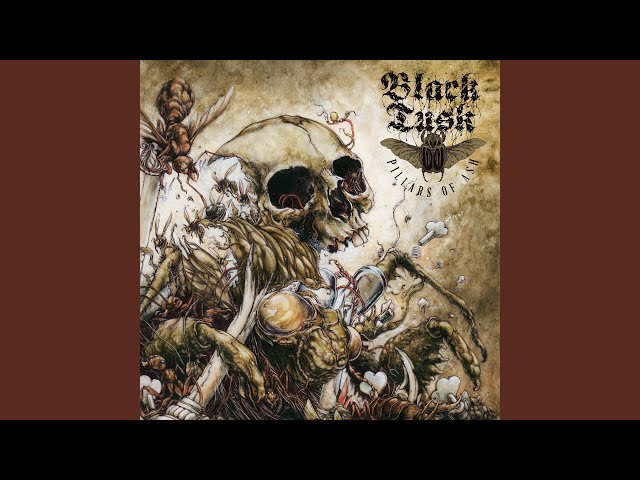 Black Tusk - Beyond the Divide
