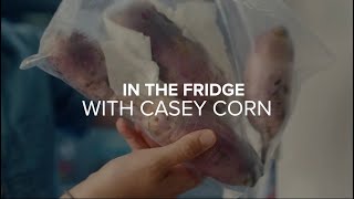 In the Fridge with Casey Corn | Fridge Tour Information