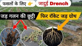 जड क बनओ सपर पवरफल य Drench दग फसल क नई जन