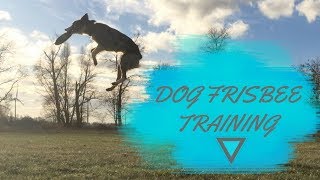 January 2018 | Dogfrisbee training by Morie the Border Collie 855 views 6 years ago 40 seconds