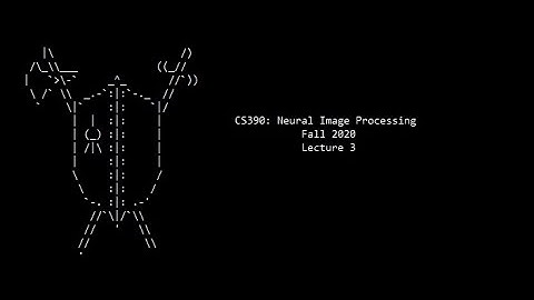 Neural Image Processing: Lecture 3 (Fall 2020)