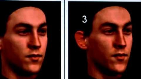 Have We Met Before? - Patterns of Facial Recognition