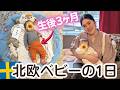 【生後3ヶ月】🇯🇵ママが驚いた北欧の冬育児👶🏻極夜のリアルな1日に密着🇸🇪