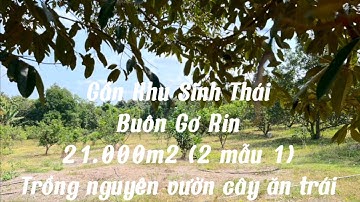 Cần bán 20.933m2 nhà vườn trồng full trái cây gần khu sinh thái Buôn Gơ Rin ở láng lớn châu đức brvt