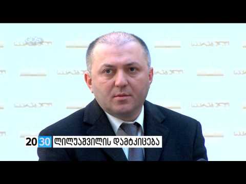 ლილუაშვილის დამტკიცება /2030 (15.01.2016.)/