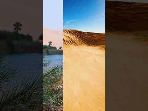 Libya Relaxation Music Calmmusic Stressrelief Shortsfeed 