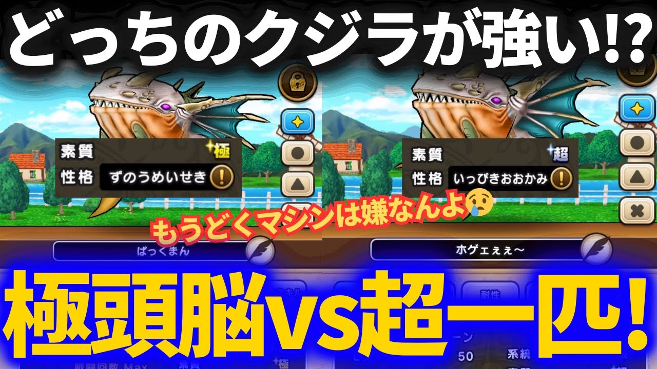 【ドラクエウォーク】微妙極といっぴき超、クジラはどっち使うべき？【なかまモンスター】【モンスターグランプリ】