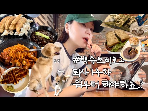 [vlog] 노는 법을 까먹었다..하나, 백수는 지금 당장 놀아야 한다! 둘, 백수는 지금 당장 행복해야 한다! | 파주 신간짬뽕 본점, 쑥떡와플, 바질크로플, 아몬드브리즈언스위트