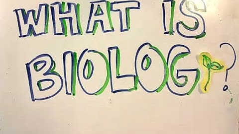 Design Experiments with Experimental Design!