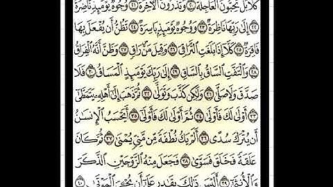شرح أحكام التجويد بالآيات من (٢٠) إلى (٤٠) من سورة القيامة