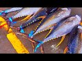 Amazing！Superb Yellowfin Tuna Cutting Skill, Tuna Harvest-Seafood Market / 最快的刀！黃鰭鮪魚切割技能, 鮪魚捕捉, 生魚片