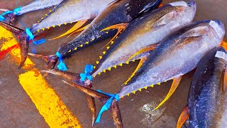 Amazing！Superb Yellowfin Tuna Cutting Skill, Tuna Harvest-Seafood Market / 最快的刀！黃鰭鮪魚切割技能, 鮪魚捕捉, 生魚片