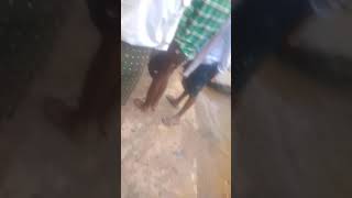 Uddandapuram Special