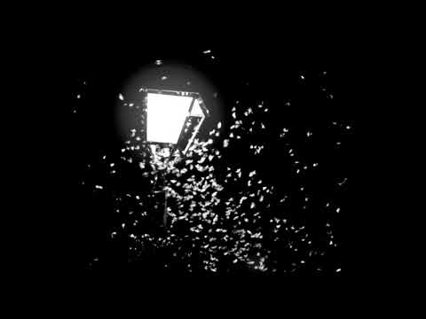 Mothboy — Mothboy | Ten Thousand Swerves [Ohm Resistance 2019]
