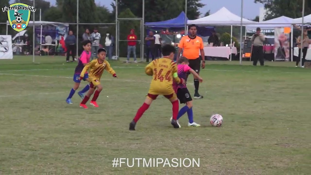 ACADEMIA RINO VS JAGUARES DORADO RESUMEN