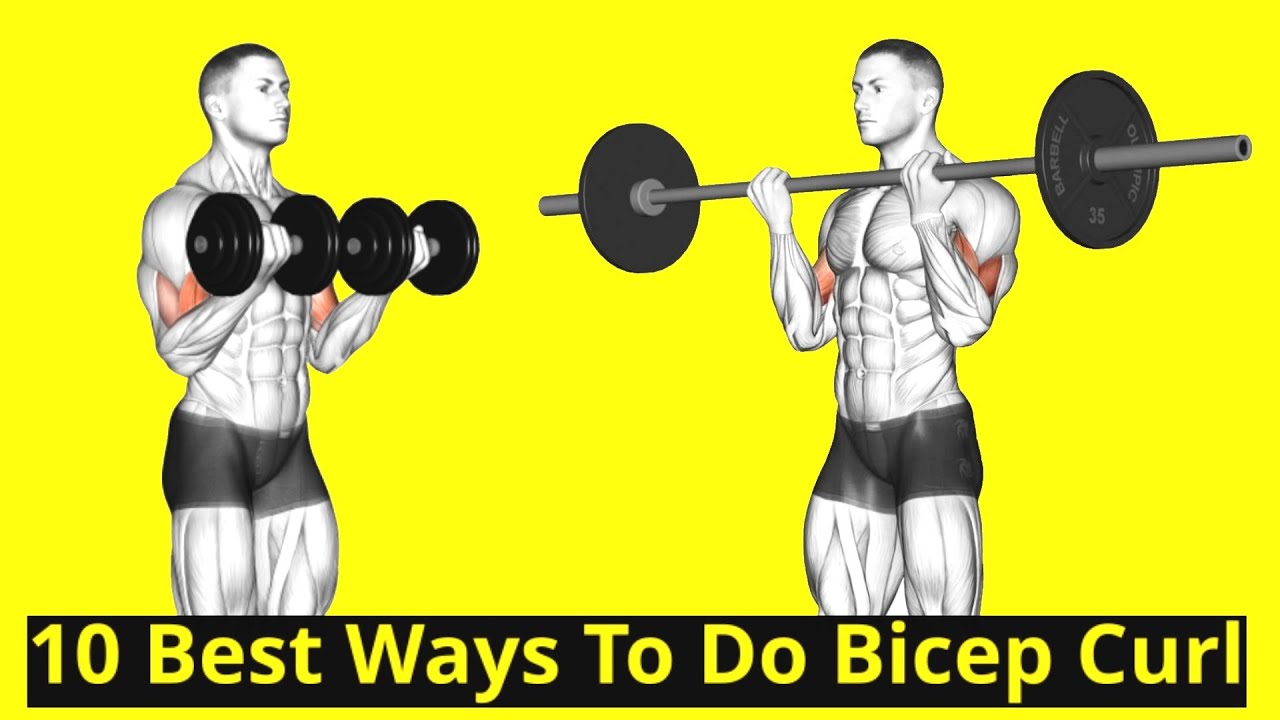 10 Best Ways To Do Bicep Curl (Dumbbell, Barbell & Cable) YouTube