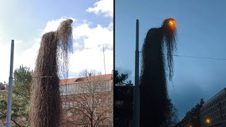 30 COISAS QUE VOCE NAO SABIA EM 10 MINUTOS 124