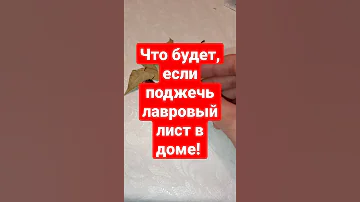 Что будет, если поджечь лавровый лист в доме