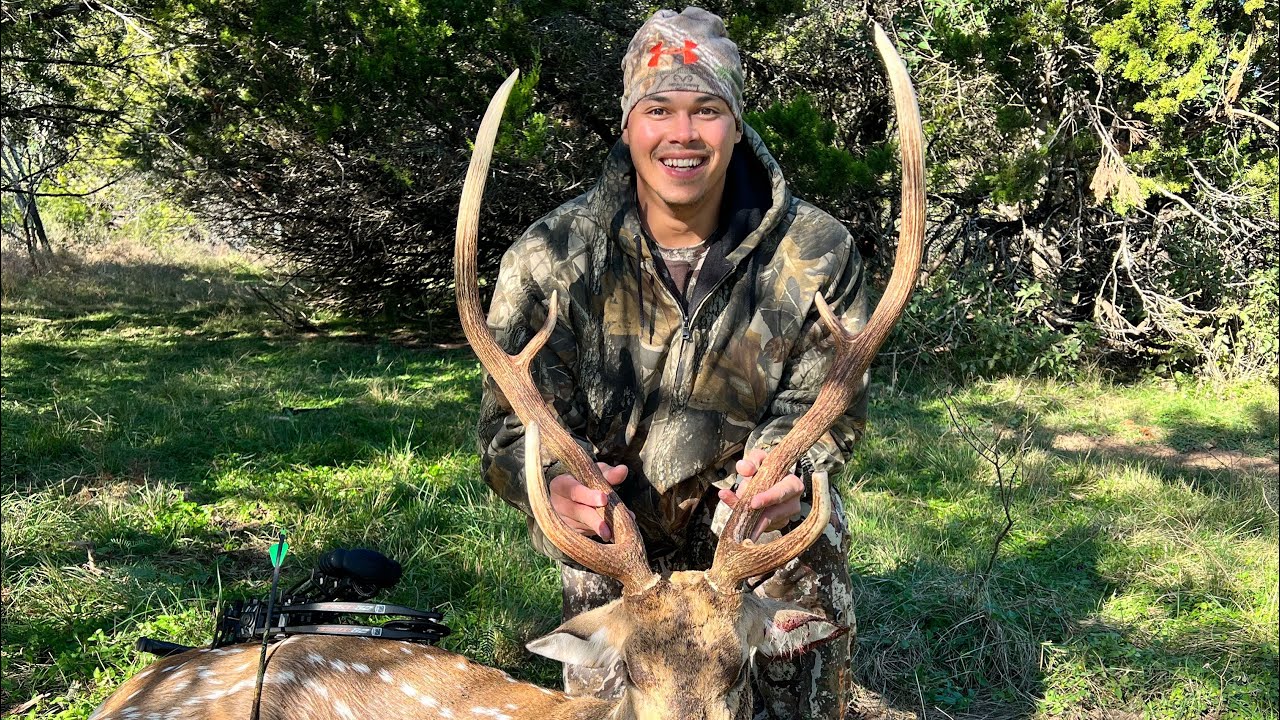 AXIS DEER HUNT YouTube