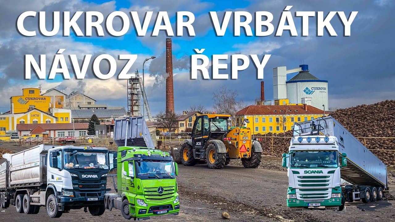 Návoz řepy Cukrovar Vrbátky  | Leden 2025 | JCB Manitou MAN Scania Volvo | Redam | Sprosro