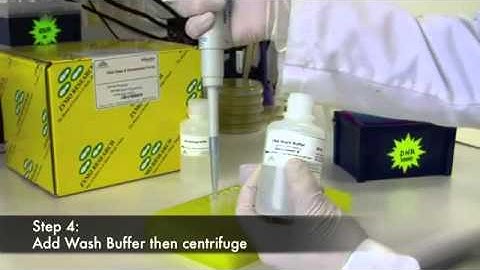 DCC (DNA Clean & Concentrator) - High quality, inhibitor-free DNA in just 2 minutes!